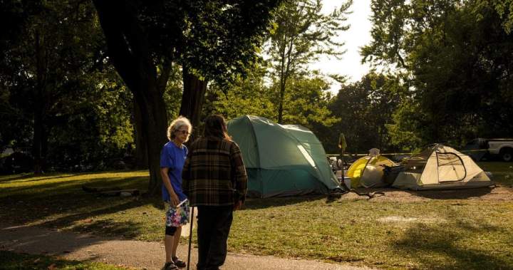 As city looks to clear encampment in Toronto park, residents demand permanent housing - Toronto