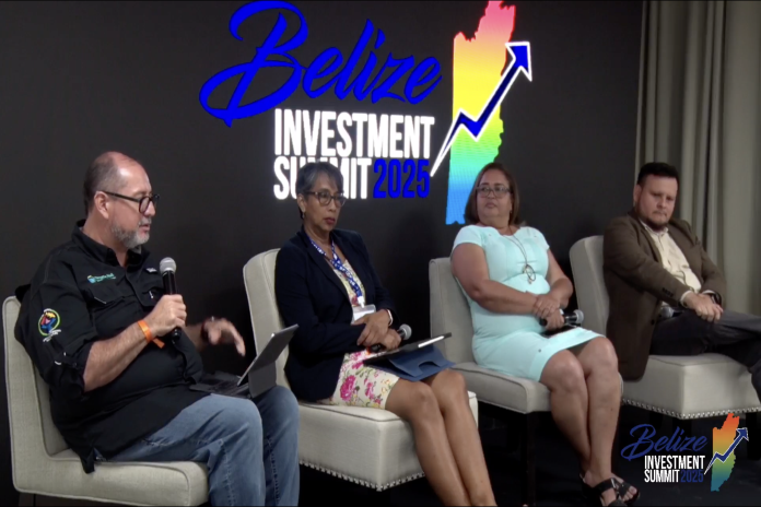 Belize Investment Summit 2025 - Caribbean News Global