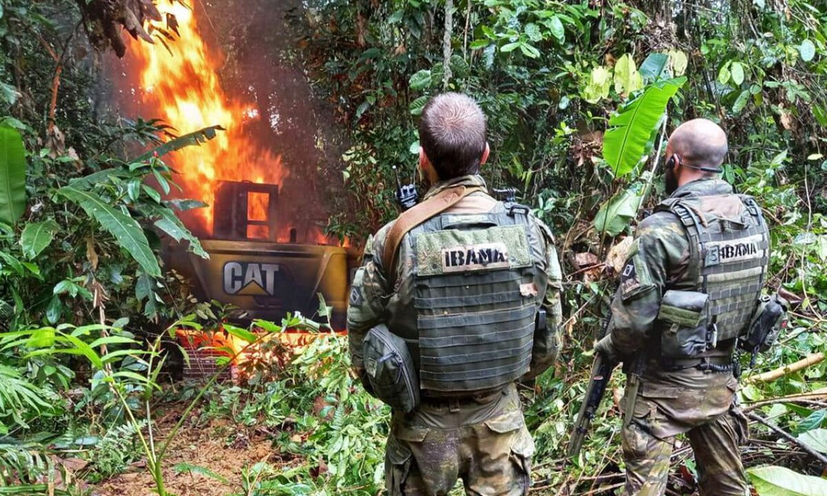 Brazil can green its environmental crime-fighting in the Amazon (commentary)