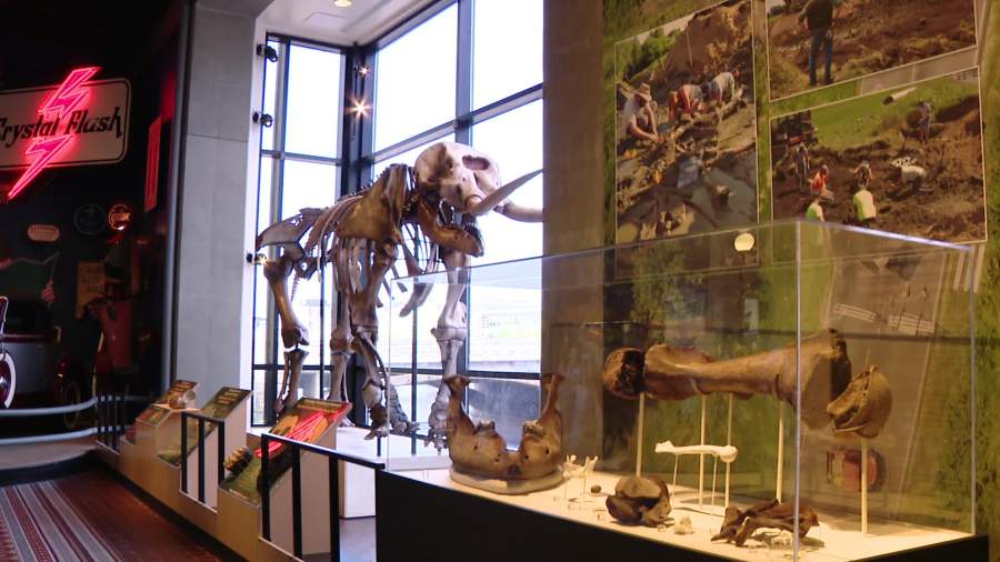 Clapp Family Mastodon exhibit opens at GRPM