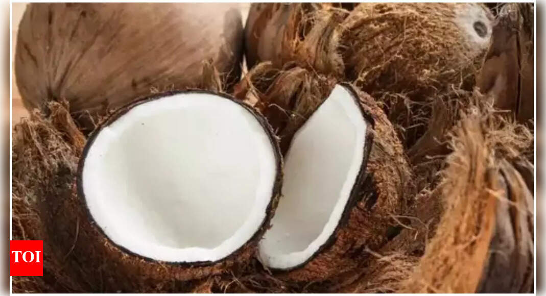 Coconut prices shoot up in south amid Onam, Ganesh Chaturthi celebrations | India News