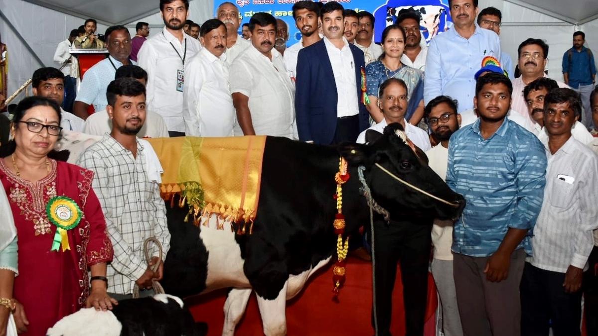 Cow yields 38.15 litres of milk, owner bags first prize at Dasara