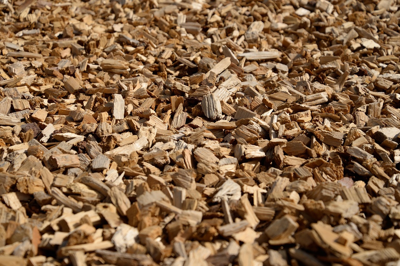 EU Court deems wood burning for energy sustainable