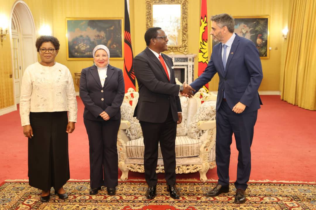 Envoys present credentials - Nation Online