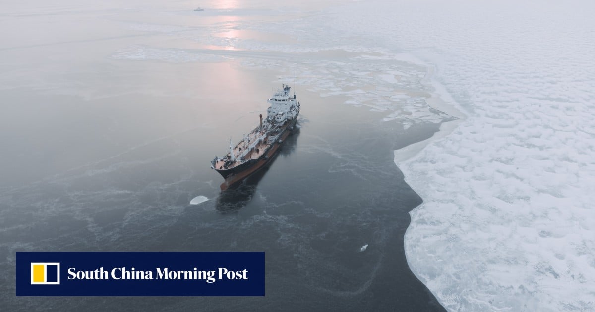Express to Europe: another Chinese shipping company launches Arctic route