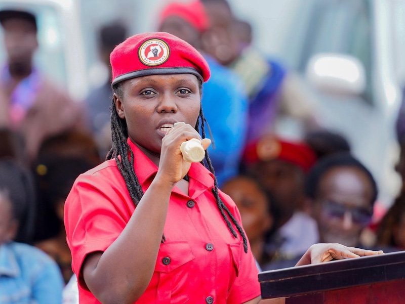 Head of NUP Leadership Training School Doreen Kaija 'kidnapped'