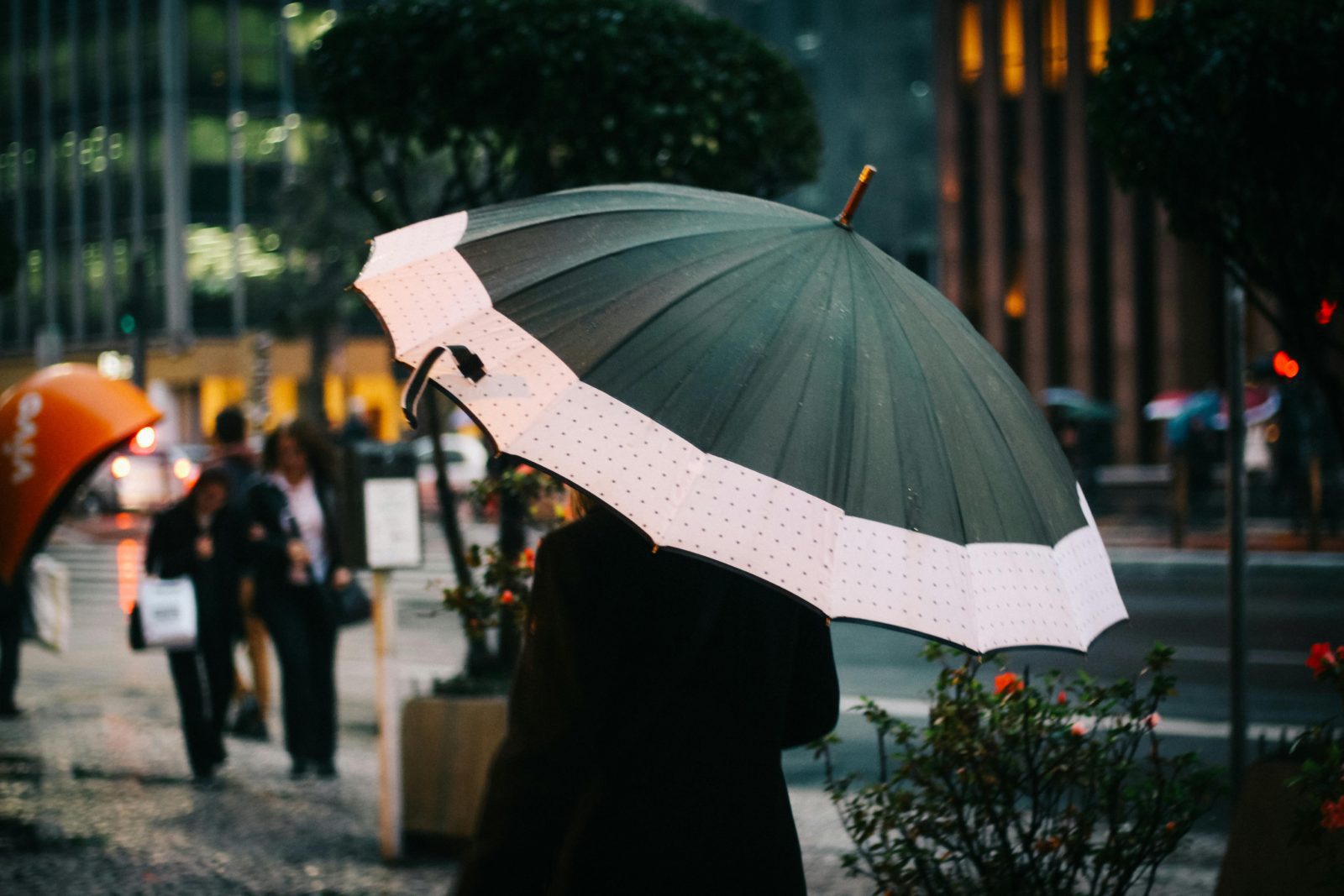 Heavy Rain Expected Overnight in the Czech Republic, Meteorologists Warn