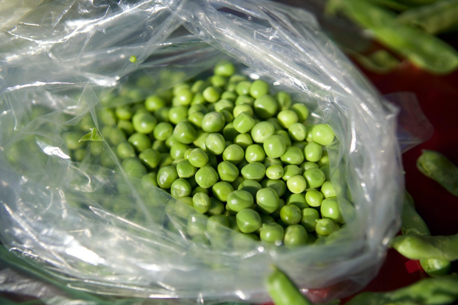 Inflation Eases in Czech Republic
