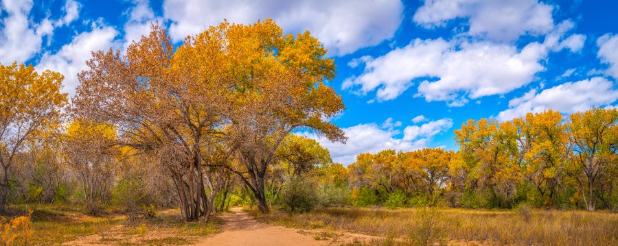 LIST: Best fall hikes within an hour of Albuquerque