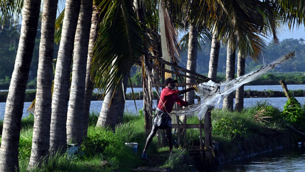 Lessons for India: how Kerala is tackling rapid urbanisation