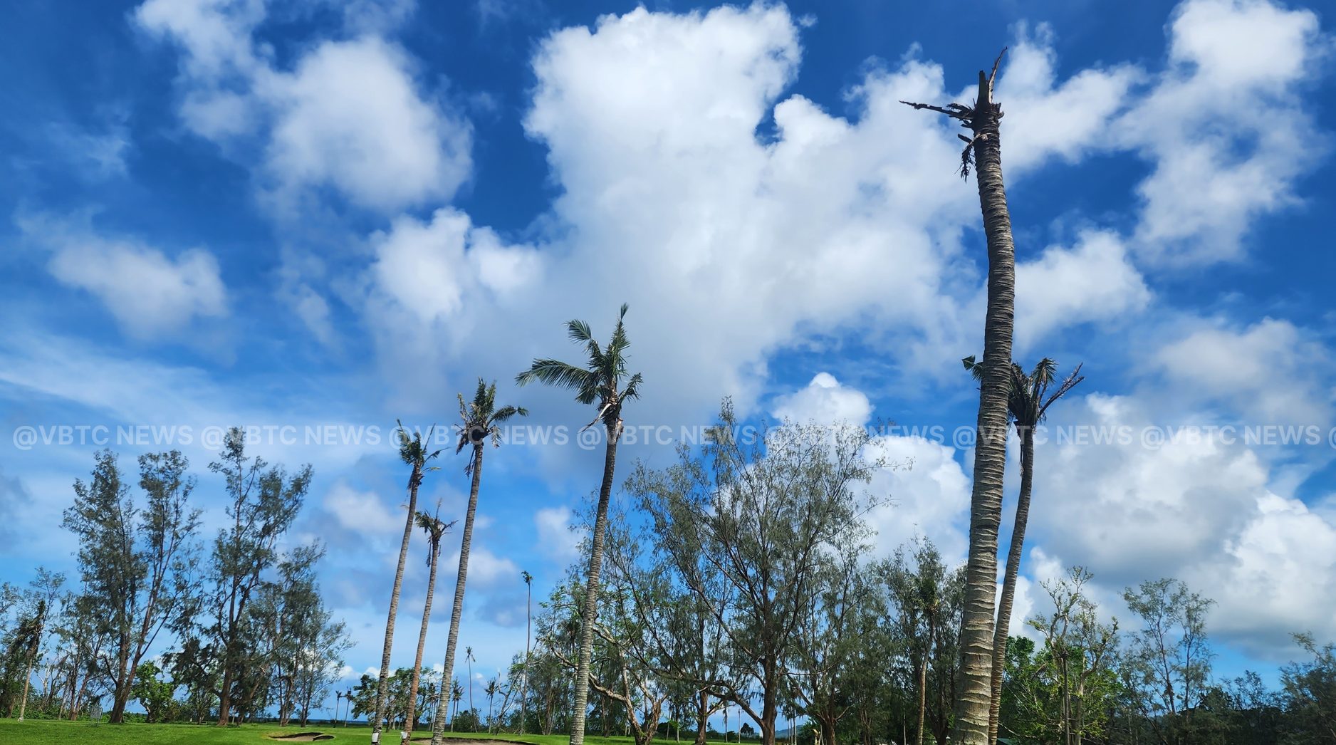 New Zealand Extends Funding for CRB Control in Vanuatu