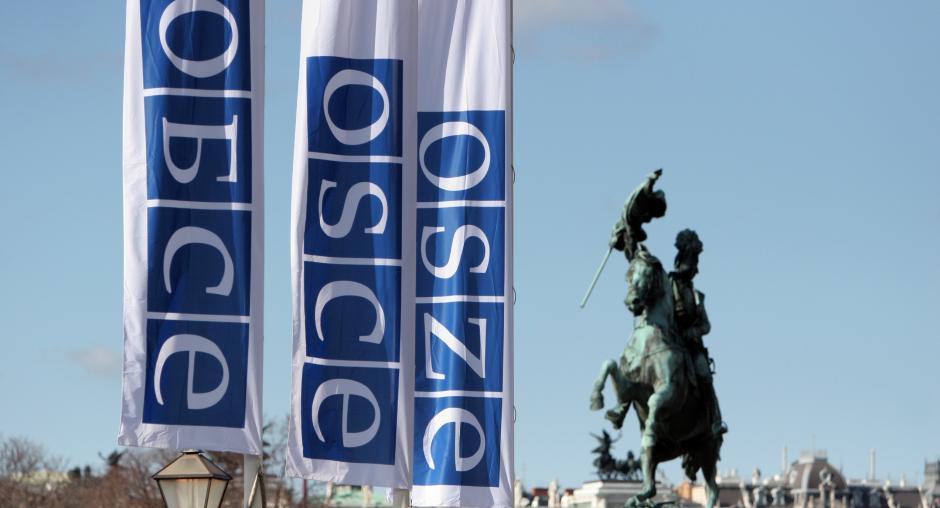 OSCE Praises Progress in Protecting Rights of Persons With Disabilities in Brcko District of BiH