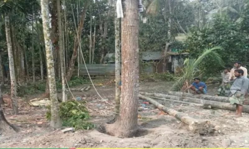 Over 100 ex-ATTF families occupy forest land in Karbook subdivision