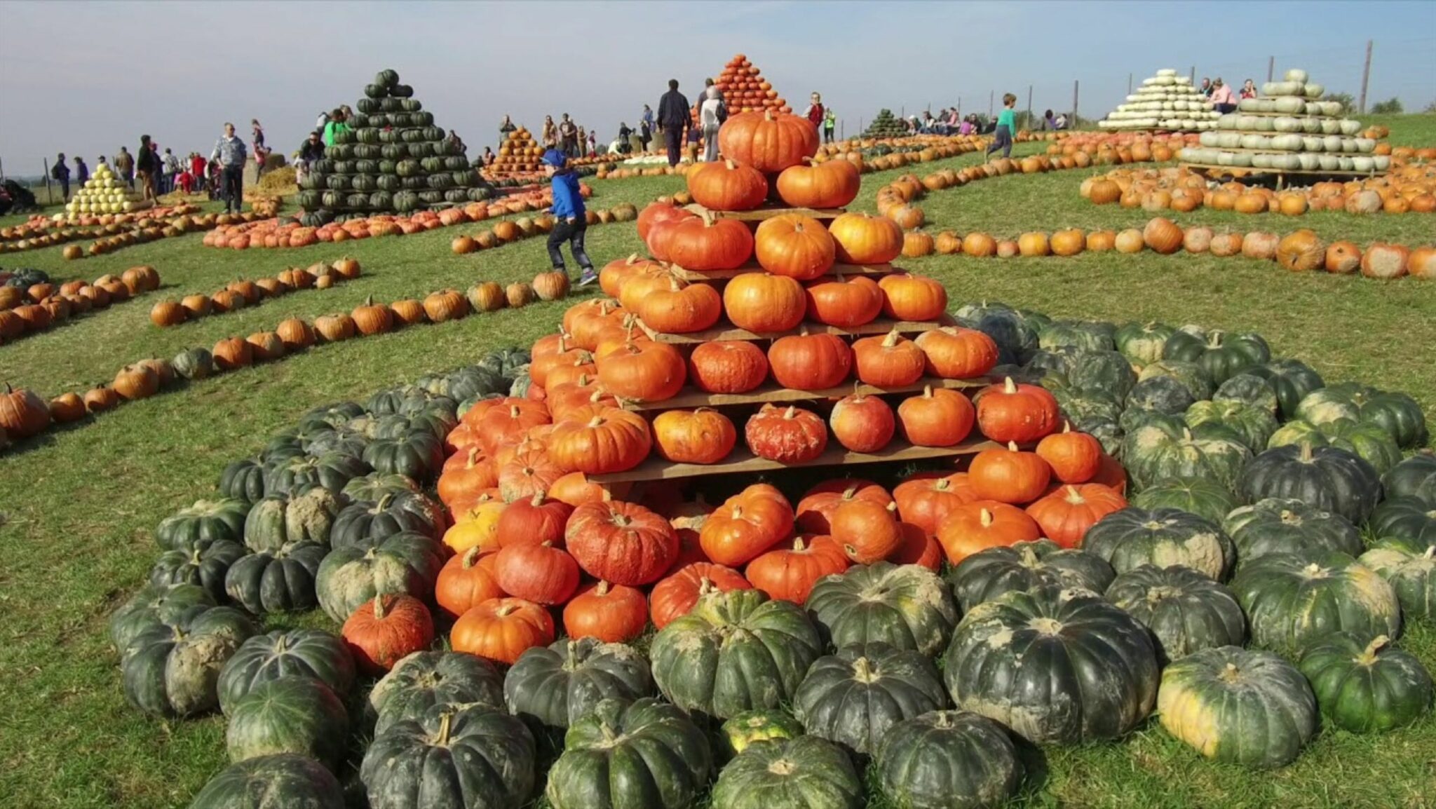 Pumpkin World Amusement Park is Now Opened to Public