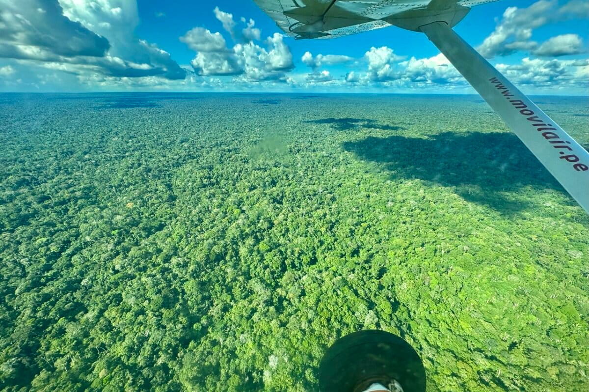 Report sees $20B in revenue for Amazon REDD+ projects despite unmet promises