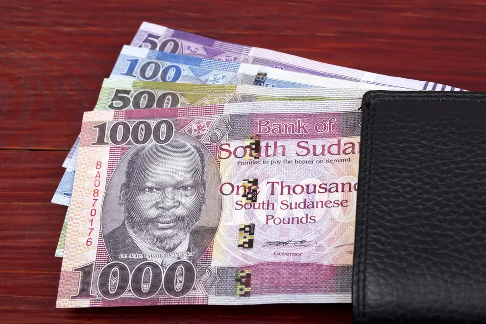 South Sudan's economic crisis: A tale of two root causes