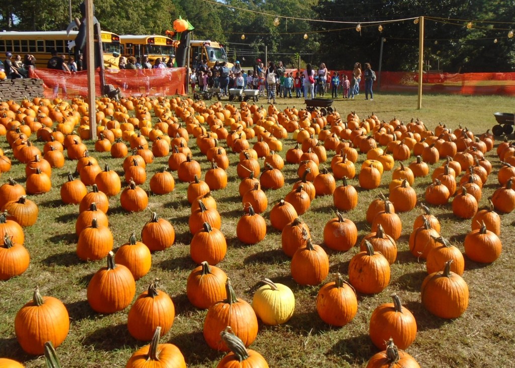 Things to do in Hampton Roads in fall: 2025 bazaar guide