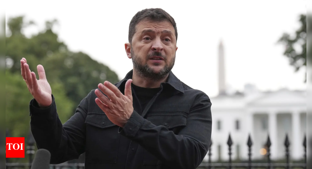 'Understandable to put tariffs on India but ...': Zelenskyy urges US action against Russia; makes big Putin claim