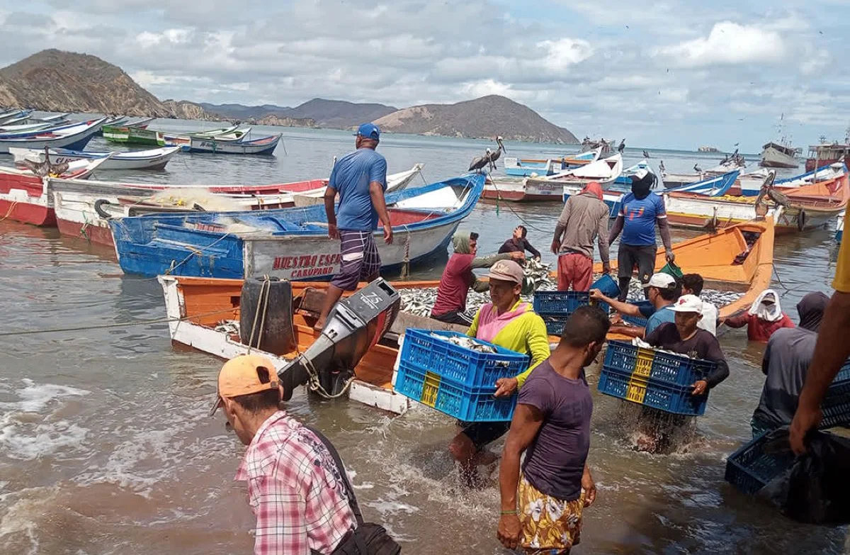 Popular organizations food security