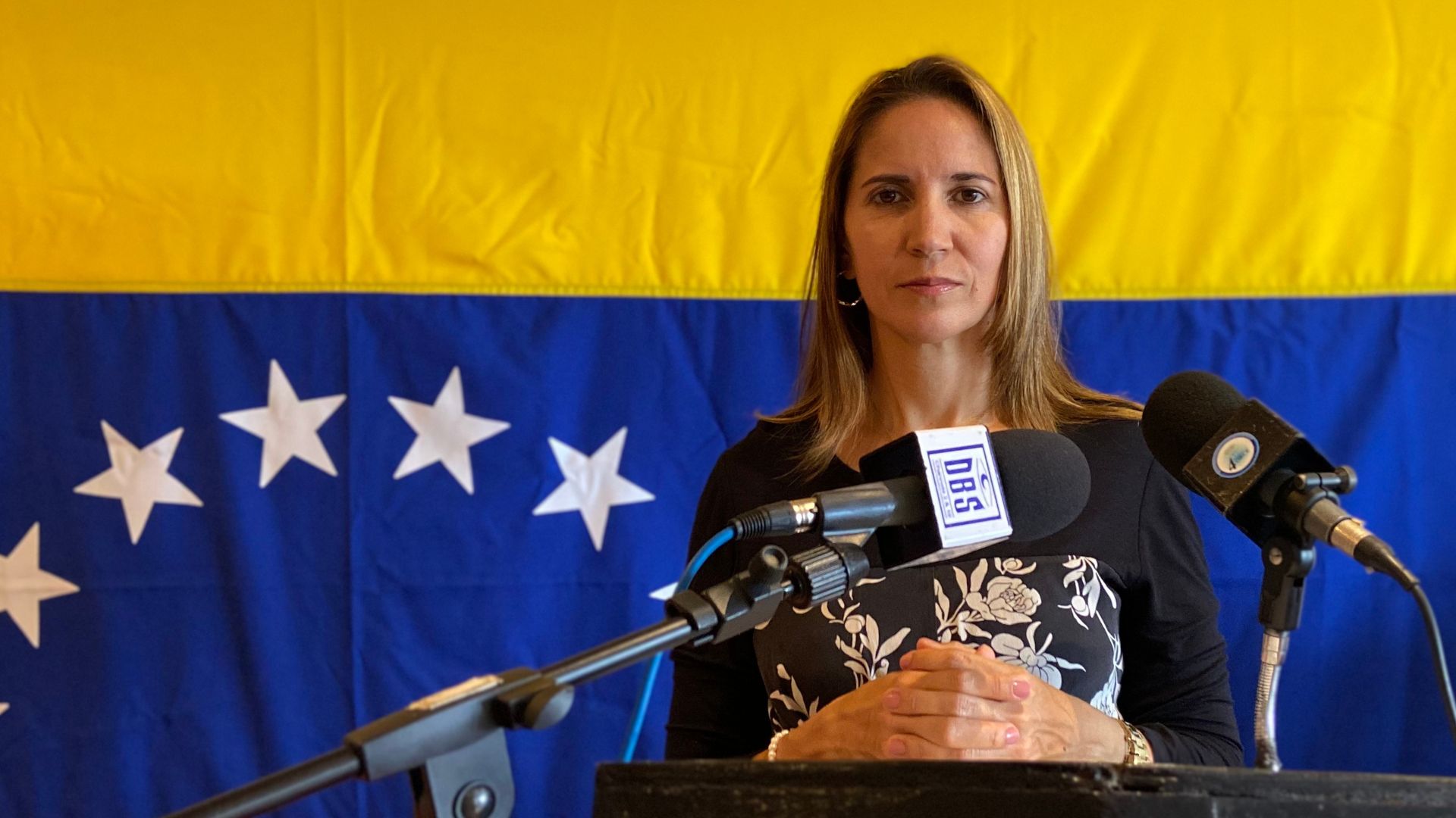 Venezuelan envoy calls for peaceful resolution to Guyana border dispute