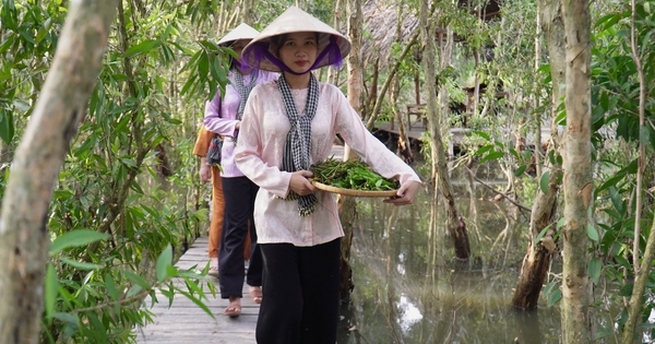Vietnam recreates forest village to recall wartime life in U Minh Ha