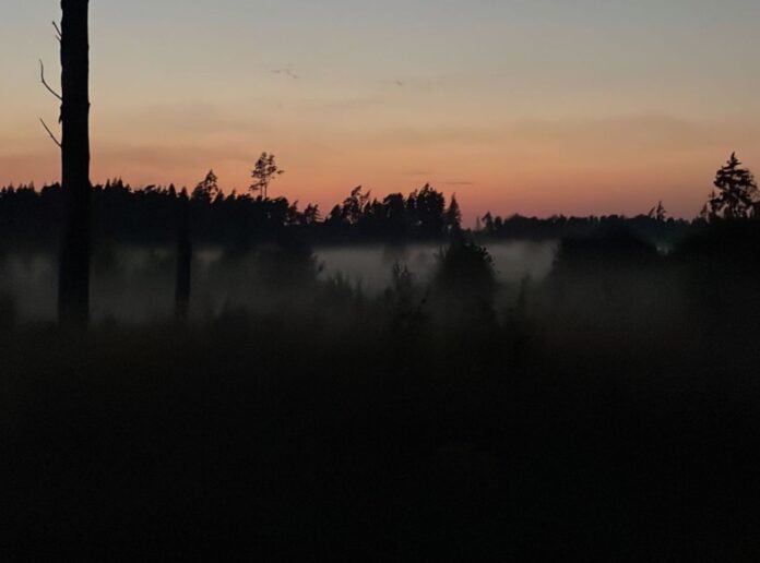 Weather to deteriorate: Rain, thunderstorms and strong winds expected