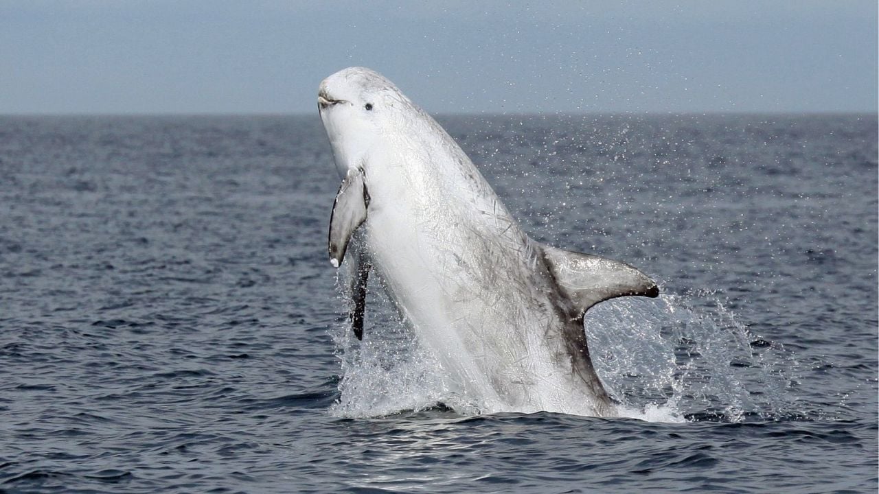 Photo of Puntid Tantivangphaisal