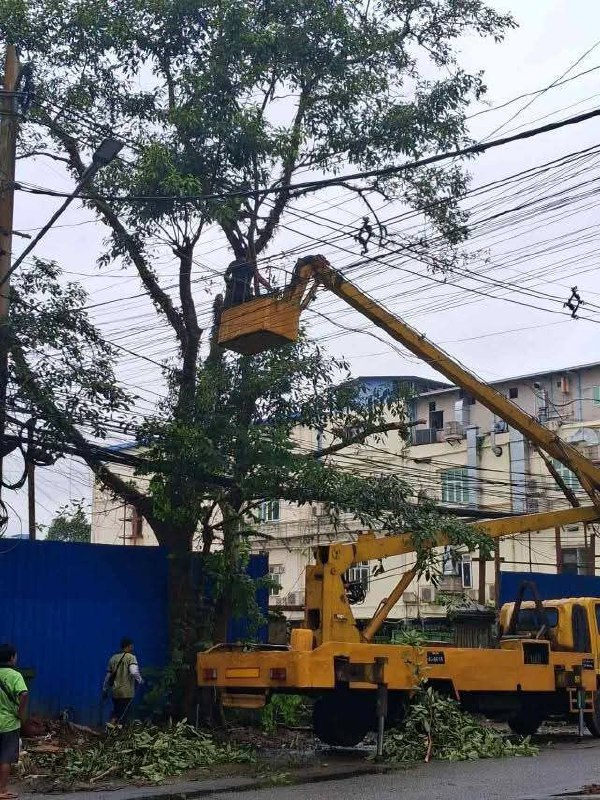 Tree trimming is being carried out in Ahlon Township. photo- YESC