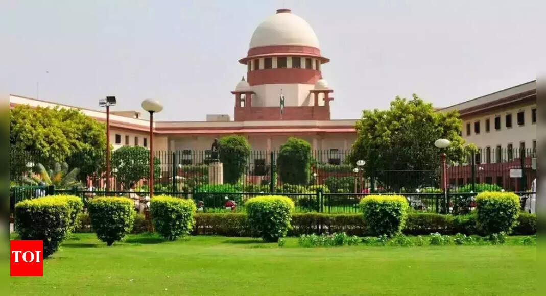 'You'll clean it in 2 hours if a dignitary comes': SC raps MCD on 'Gumti of Shaikh Ali'; seeks report by Sept 18 | India News