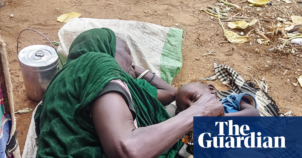 ‘A donkey cart out of El Fasher costs more than a new car’: how 500 days under siege is tearing the city apart | Global development