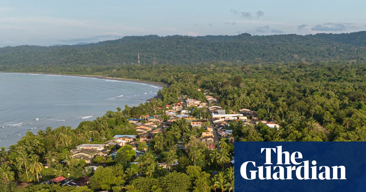 ‘Food forests are everything’: creating edible landscapes helps nature thrive in Afro-descendant lands | Americas