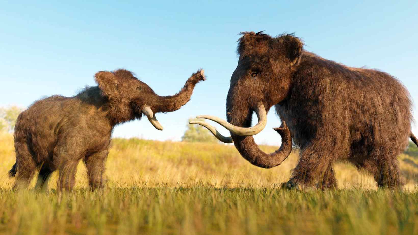 19 Mammoths Found in Northern Czechia
