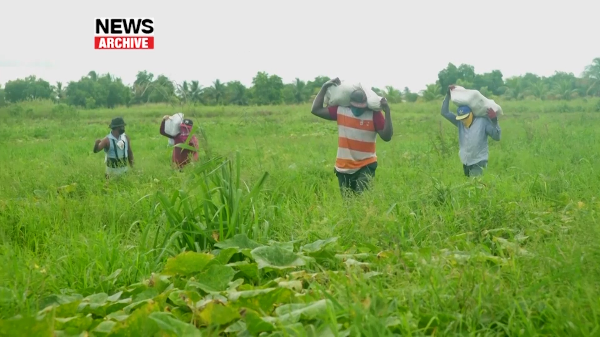 Agriculture Consultant Urges Government To Prioritise Sector Ahead of Budget