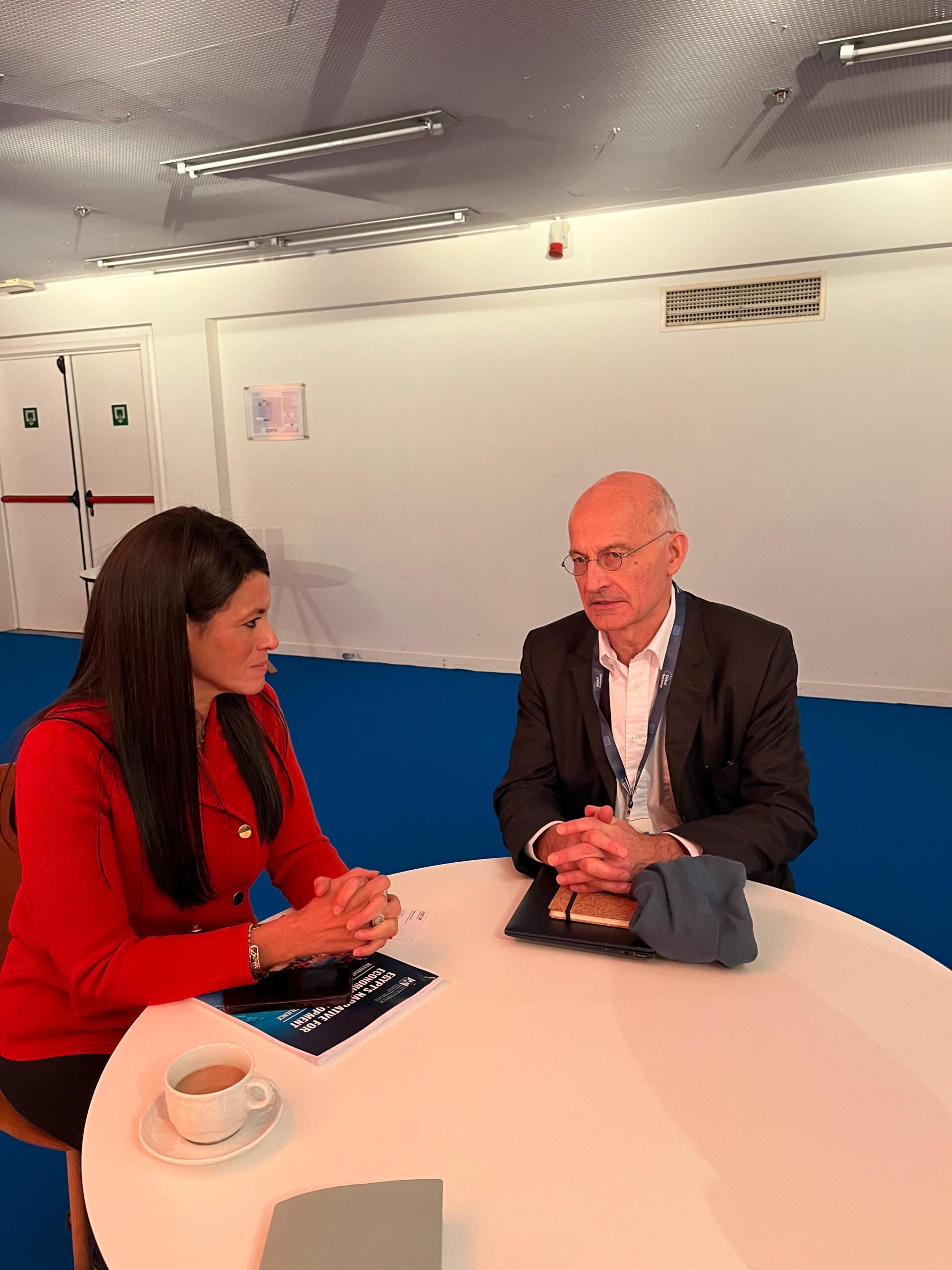 Al-Mashat meets Alstom VP to discuss boosting French company’s Egypt investments