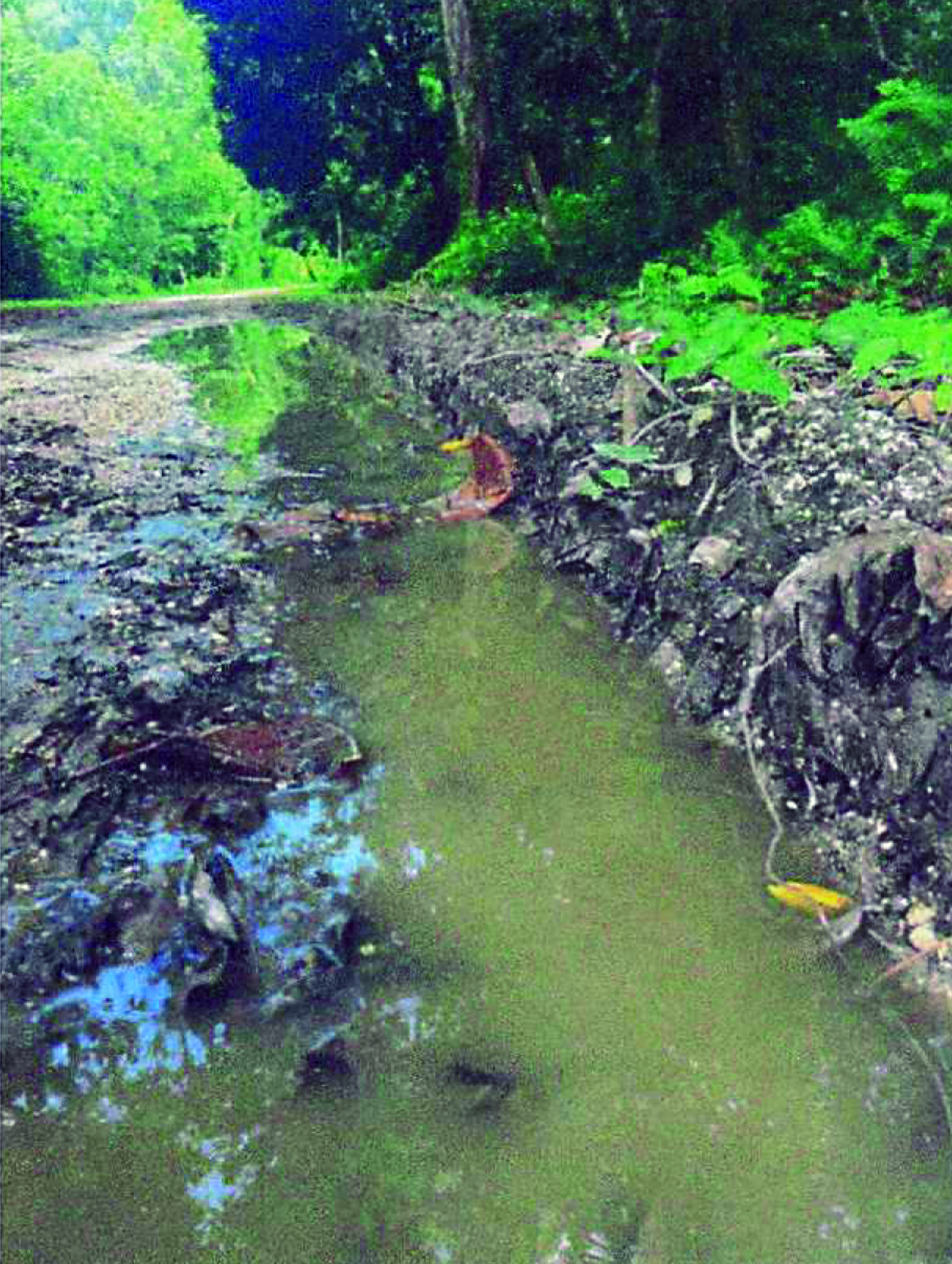 Angaur to Palau Government: U.S. Military Project Must Benefit Local ...