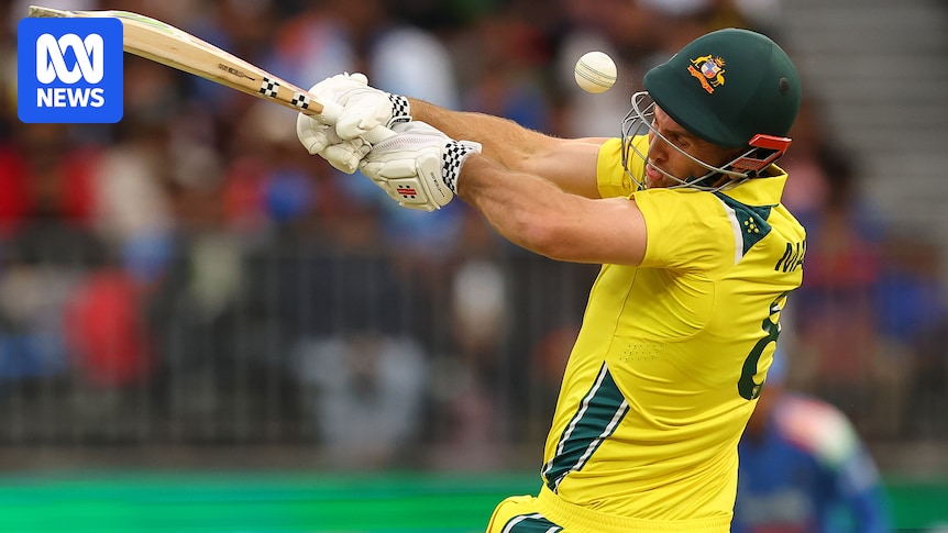 Australia cruises to seven-wicket victory over India in rain-shortened ODI