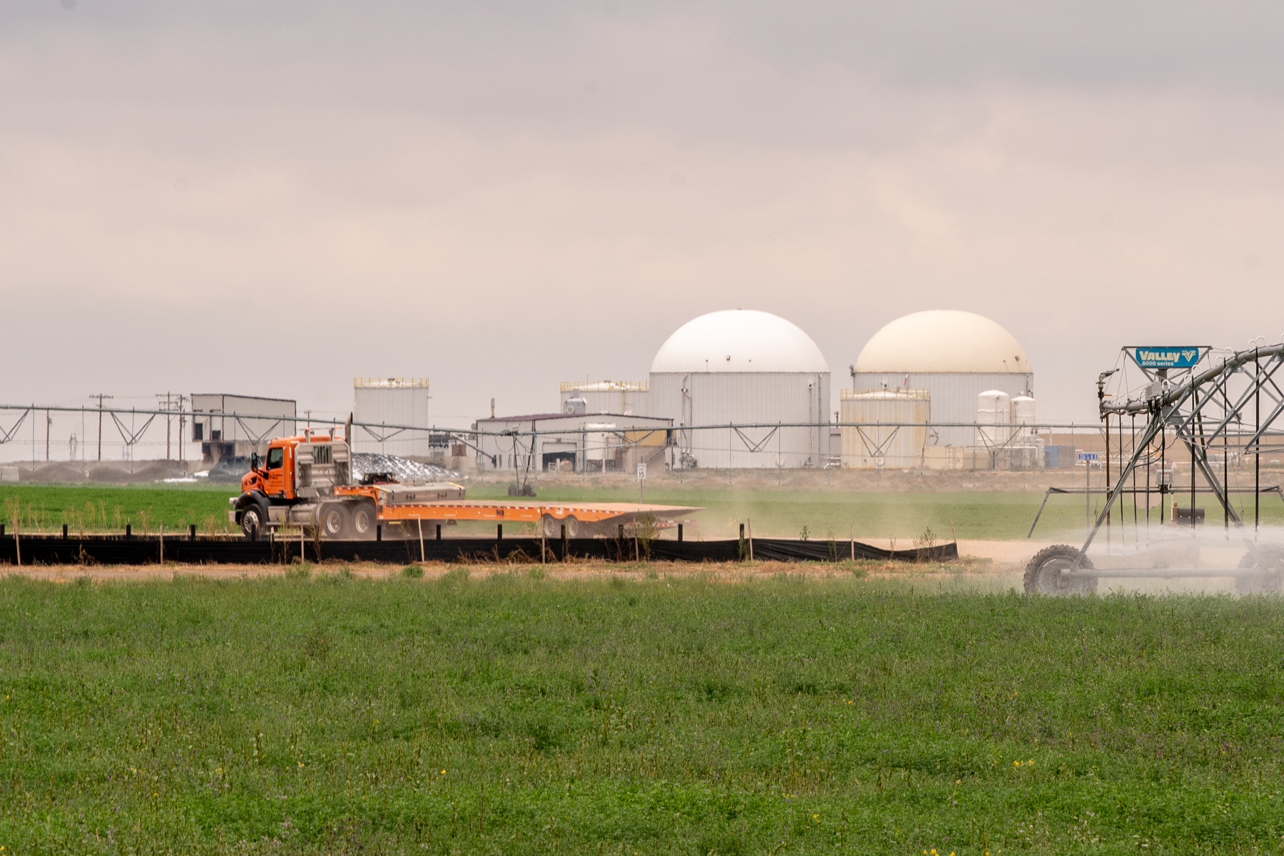 Autopsies and toxicology reports detail how six dairy workers died, but not what led up to the incident