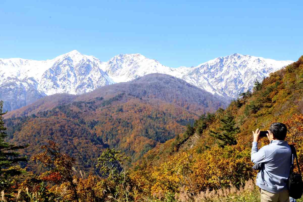 Autumn Leaves, Snow-Covered Mountains Contrast Beautifully in Nagano Pref.