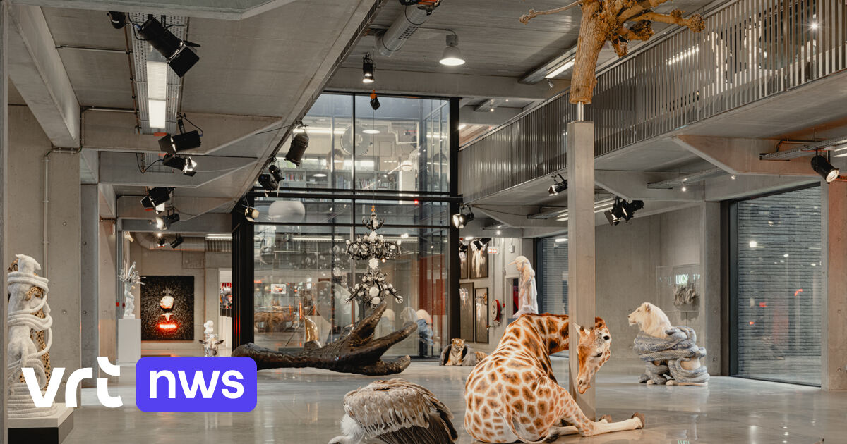 Binnenkijken bij Koen Vanmechelen of 'Voddemet' in Brussel: dit zijn onze 5 weekendtips