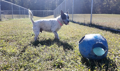 Screen Shot 2025 10 16 At 43153 Pm