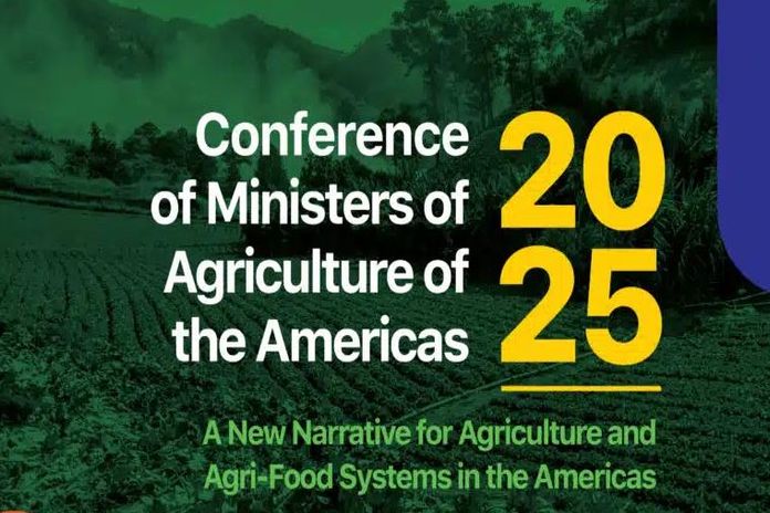 Brazil to host the Conference of Ministers of Agriculture of the Americas 2025