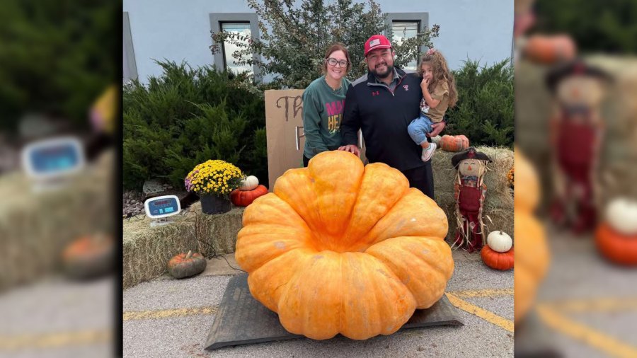Brownfield man's 995-pound pumpkin sets Texas weight record