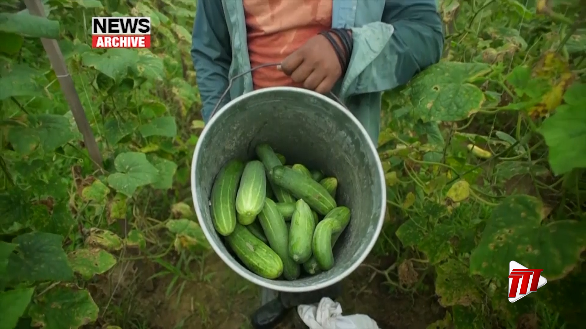 Businessman Balliram Maharaj: Secure The Nation’s Food Supply