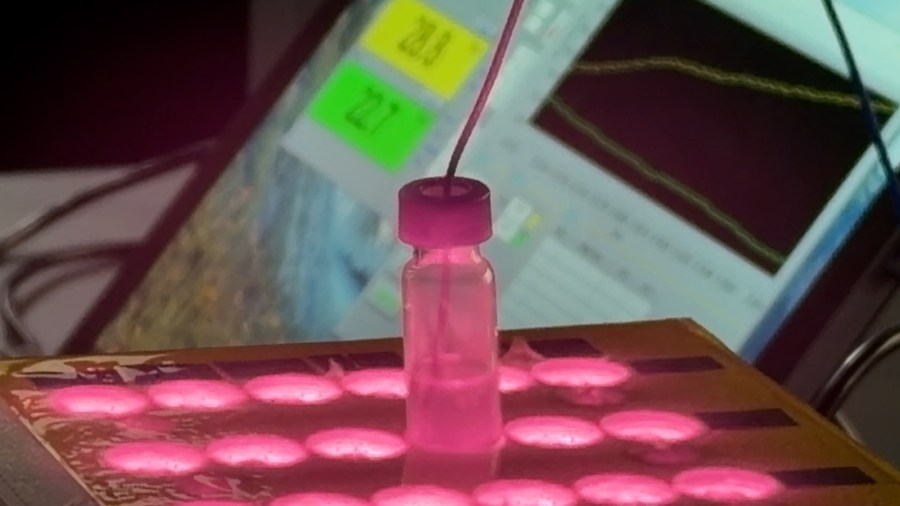 Cancer treatment uses LED light and 'atomically thin' materials to destroy cells