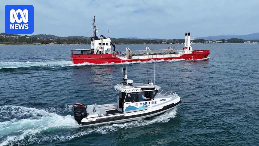 Coastal repairs underway for eroded beach on NSW far south coast