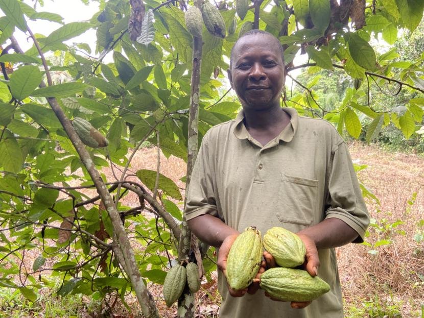 Cocoa Barometer 2025 Exposes Harsh Reality: Record Cocoa Prices, Yet Farmers Still Trapped in Poverty