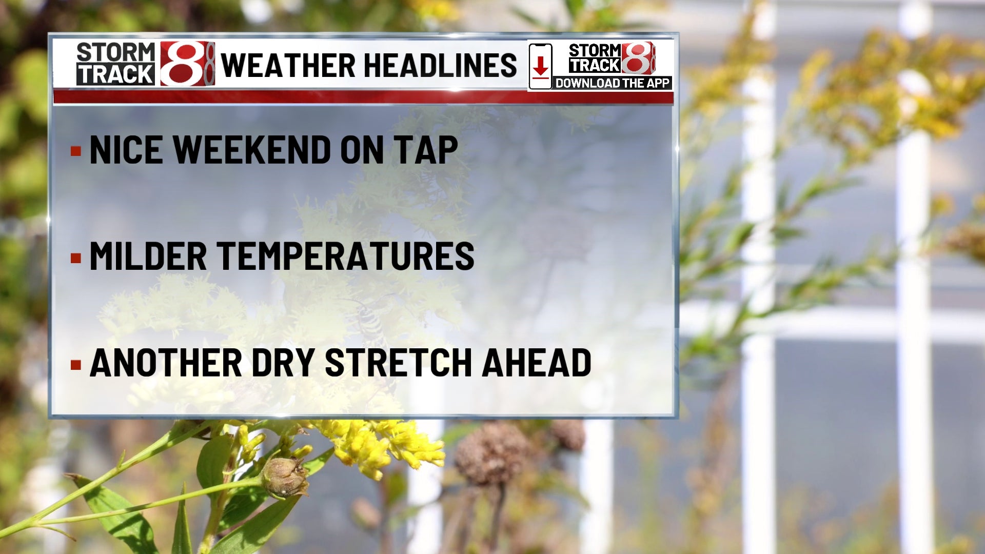 Cooler days and rain in the forecast - Indianapolis News | Indiana Weather | Indiana Traffic