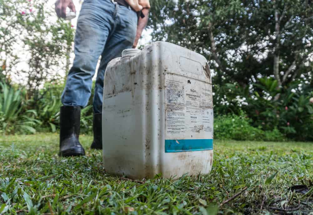 Costa Rica Pesticide Use Harms Soil Life, UNA Study Finds