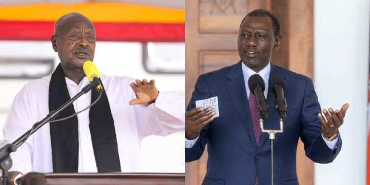 Collage Photo Of Uganda President Yoweri Museveni And President William Ruto. Photo/Museveni/Psc
