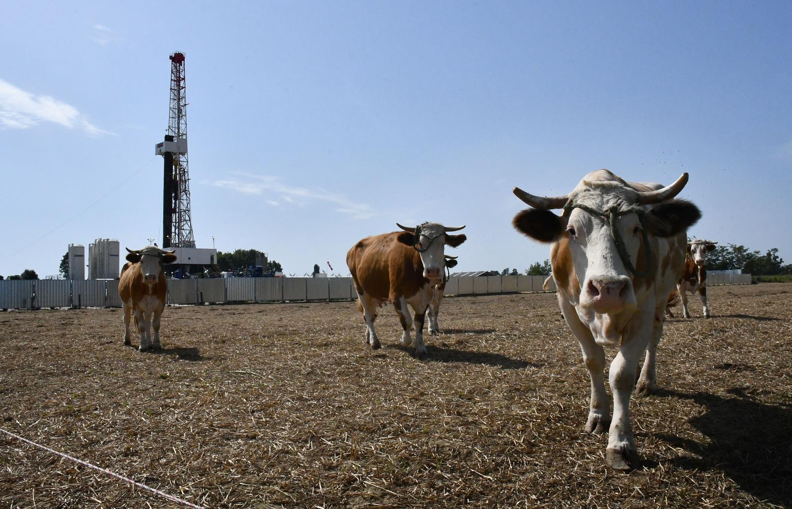 croatia geothermal potential
